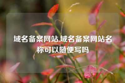 域名备案网站,域名备案网站名称可以随便写吗