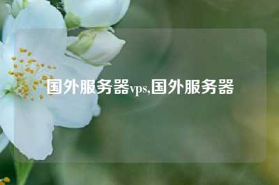 国外服务器vps,国外服务器