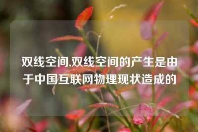 双线空间,双线空间的产生是由于中国互联网物理现状造成的