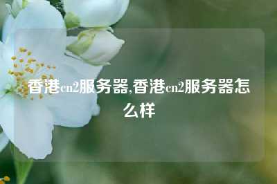 香港cn2服务器,香港cn2服务器怎么样
