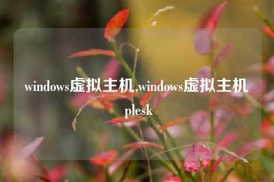 windows虚拟主机,windows虚拟主机 plesk