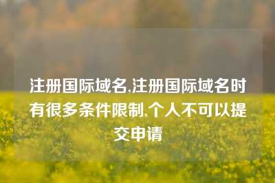 注册国际域名,注册国际域名时有很多条件限制,个人不可以提交申请