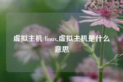 虚拟主机 linux,虚拟主机是什么意思