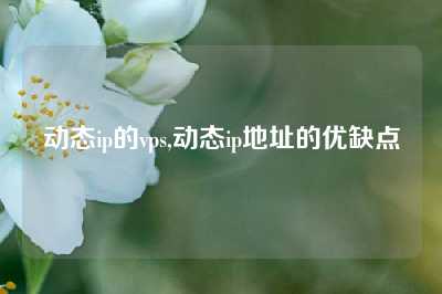 动态ip的vps,动态ip地址的优缺点