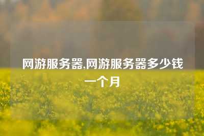 网游服务器,网游服务器多少钱一个月