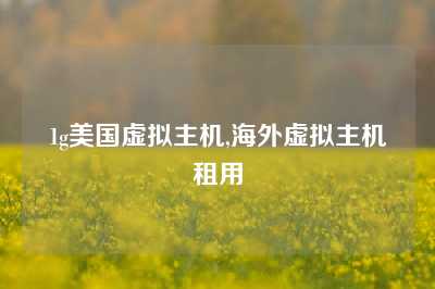 1g美国虚拟主机,海外虚拟主机租用