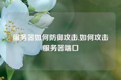 服务器如何防御攻击,如何攻击服务器端口
