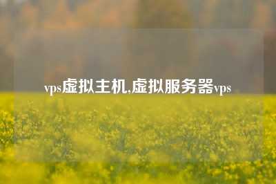 vps虚拟主机,虚拟服务器vps