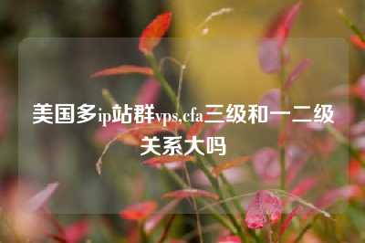 美国多ip站群vps,cfa三级和一二级关系大吗