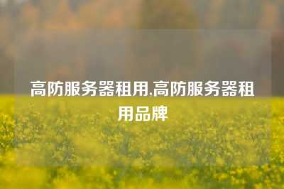 高防服务器租用,高防服务器租用品牌