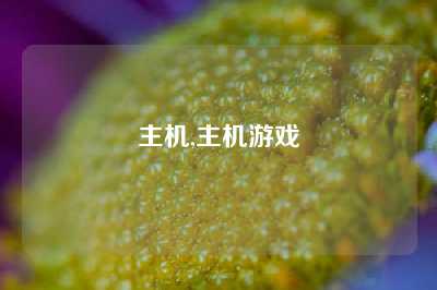 主机,主机游戏