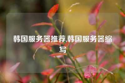 韩国服务器推荐,韩国服务器缩写
