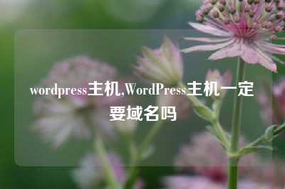 wordpress主机,WordPress主机一定要域名吗
