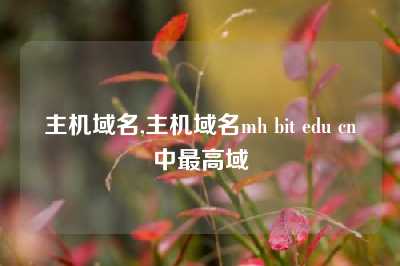 主机域名,主机域名mh bit edu cn中最高域