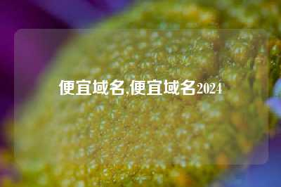 便宜域名,便宜域名2024