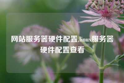 网站服务器硬件配置,linux服务器硬件配置查看