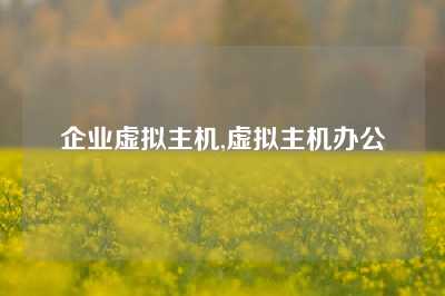 企业虚拟主机,虚拟主机办公