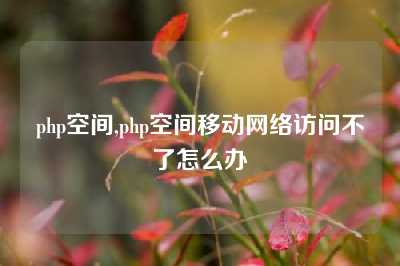 php空间,php空间移动网络访问不了怎么办