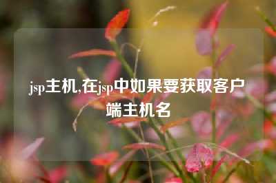 jsp主机,在jsp中如果要获取客户端主机名