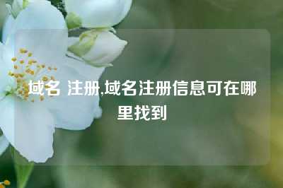 域名 注册,域名注册信息可在哪里找到