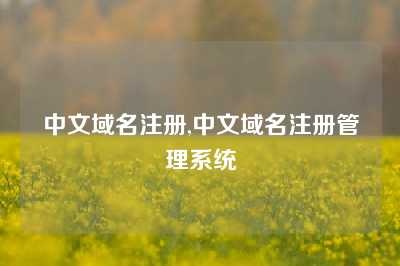 中文域名注册,中文域名注册管理系统