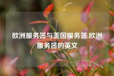 欧洲服务器与美国服务器,欧洲服务器的英文
