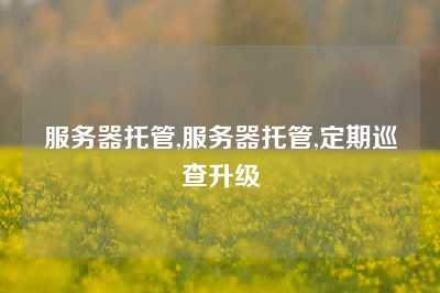 服务器托管,服务器托管,定期巡查升级