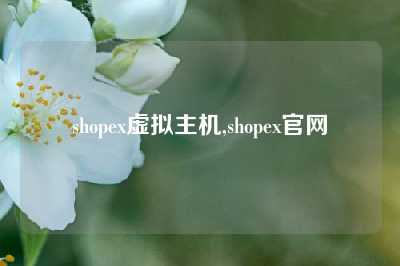 shopex虚拟主机,shopex官网