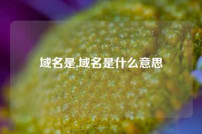 域名是,域名是什么意思