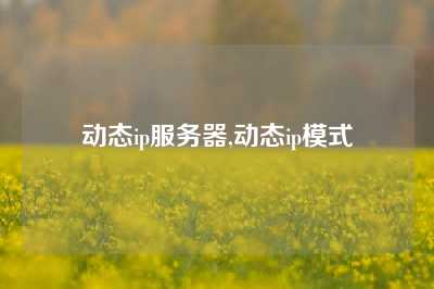 动态ip服务器,动态ip模式