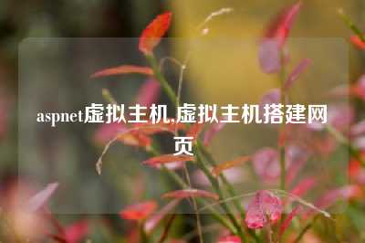 aspnet虚拟主机,虚拟主机搭建网页