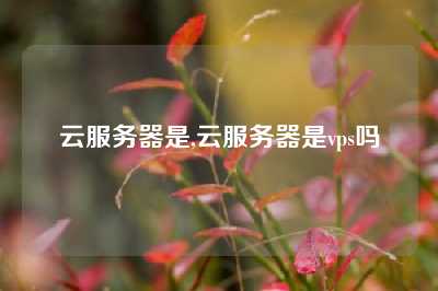 云服务器是,云服务器是vps吗