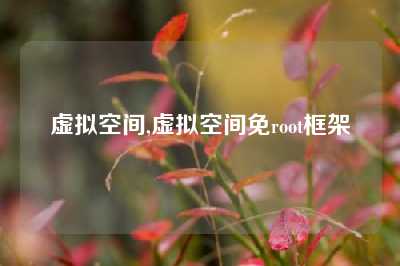 虚拟空间,虚拟空间免root框架