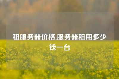 租服务器价格,服务器租用多少钱一台