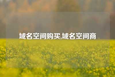 域名空间购买,域名空间商