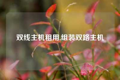 双线主机租用,组装双路主机