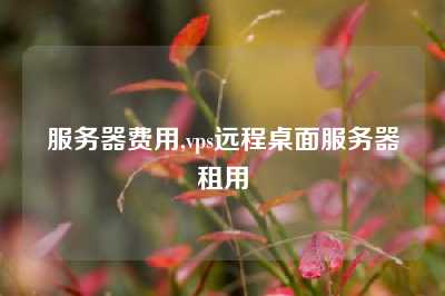 服务器费用,vps远程桌面服务器租用