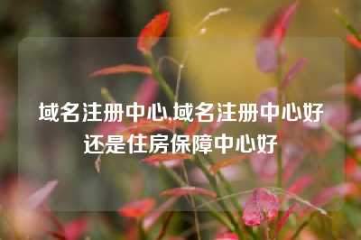 域名注册中心,域名注册中心好还是住房保障中心好