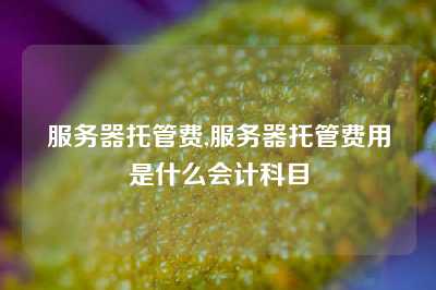 服务器托管费,服务器托管费用是什么会计科目