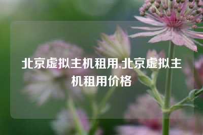 北京虚拟主机租用,北京虚拟主机租用价格