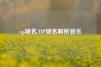 vip域名,VIP域名解析音乐