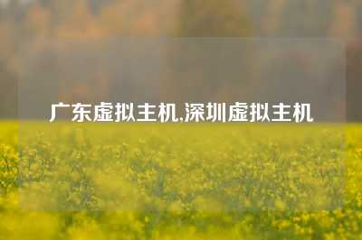 广东虚拟主机,深圳虚拟主机
