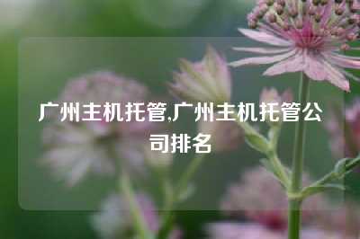广州主机托管,广州主机托管公司排名