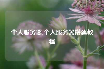 个人服务器,个人服务器搭建教程