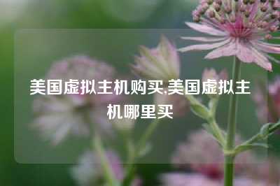 美国虚拟主机购买,美国虚拟主机哪里买