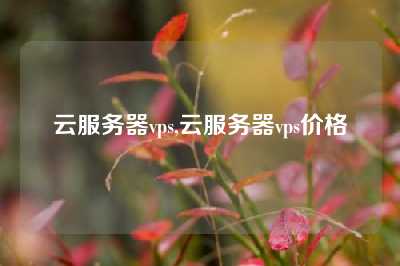 云服务器vps,云服务器vps价格