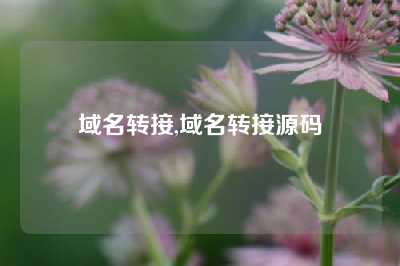 域名转接,域名转接源码