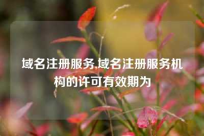 域名注册服务,域名注册服务机构的许可有效期为