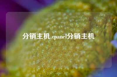 分销主机,cpanel分销主机