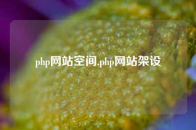 php网站空间,php网站架设